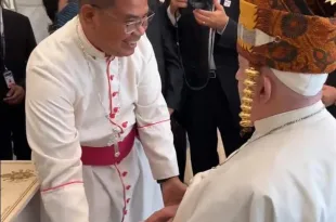 paus fransiskus berkati patung yesus sibea bea