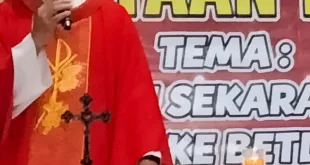 img 20241229 wa0024