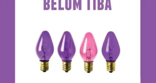 Ilustrasi Lilin Adven